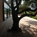 Chateau La Sabine