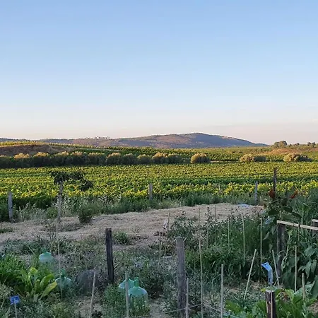 Chateau La Sabine Bed & Breakfast