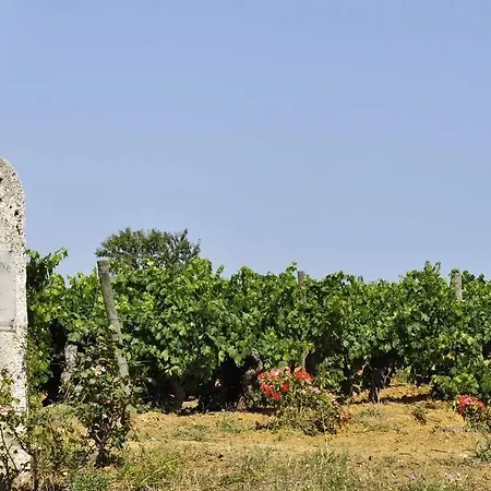 Chateau La Sabine Bed & Breakfast