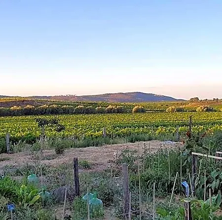 Nocleg ze śniadaniem Chateau La Sabine 4*